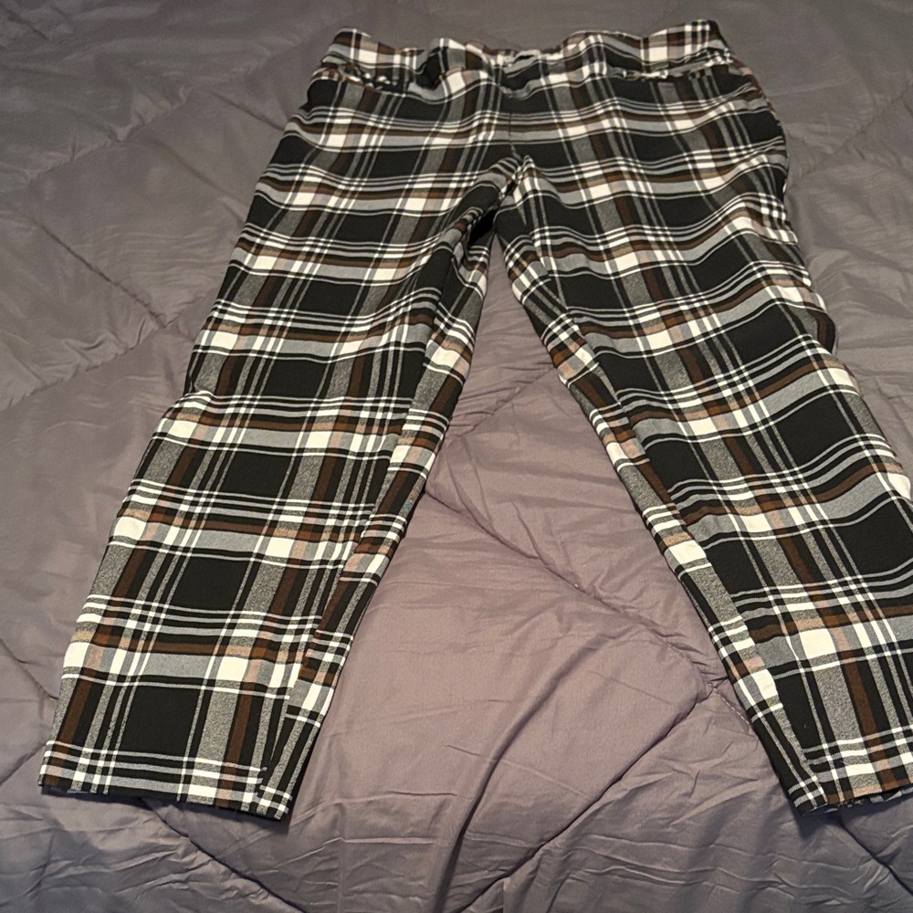 Cato Women's Plaid Pants in Black and Brown